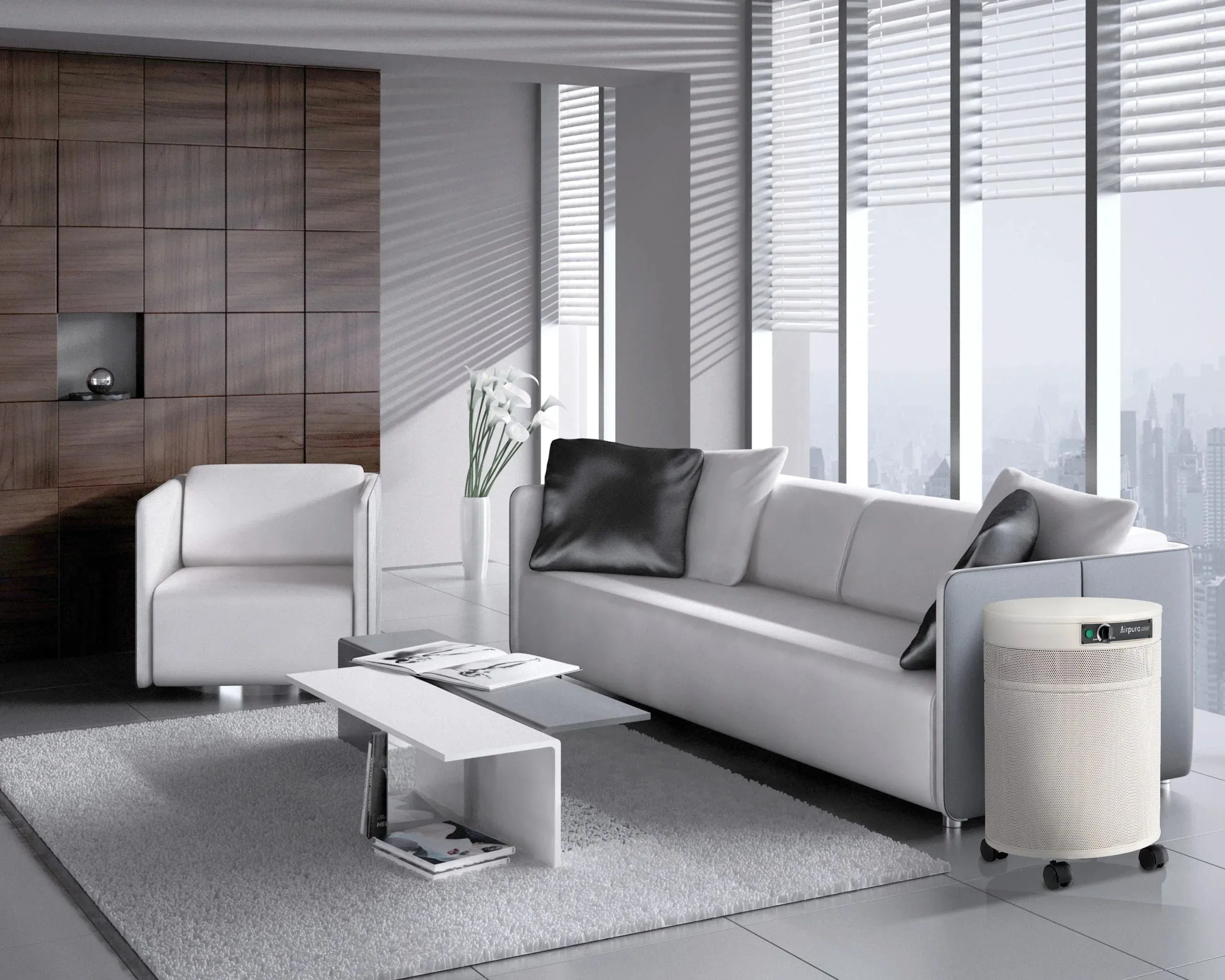 G600 - Odor-Free Carbon for Chemically Sensitive (MCS) Air Purifier